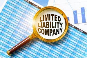 Magnifying glass that says Limited Liability Company